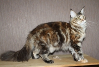 _____20131019_1480069916.jpg