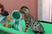 img_8032_20130413_1329369553.jpg