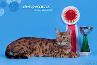 20121006_IMG_5887-Edit