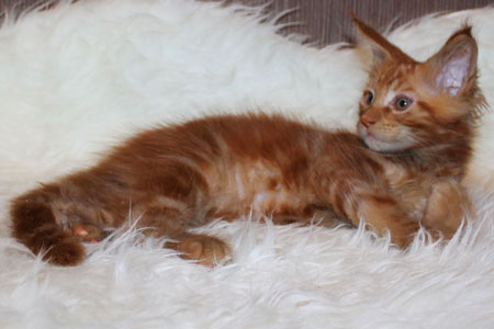 everest 2 month1