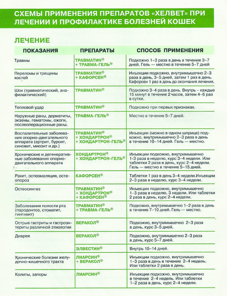 Лечение ринотрахеита у кошек схема лечения