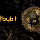 Настройка торговых ботов на ByBit